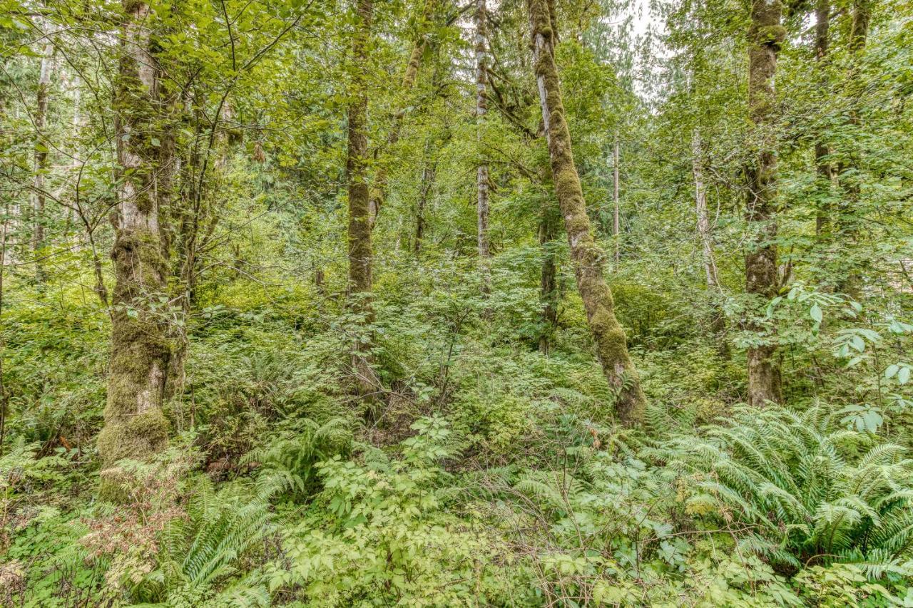 Creekside Cabin Rhododendron Extérieur photo